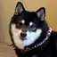 なまむぎのプロフィール画像