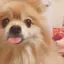 Minnieのプロフィール画像
