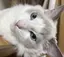 えみのプロフィール画像