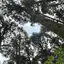 あずさのプロフィール画像