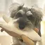 あすんのプロフィール画像