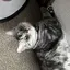 きたのりこのプロフィール画像