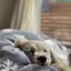 みくのプロフィール画像