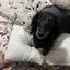 ここのプロフィール画像