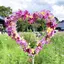 SHIORIのプロフィール画像