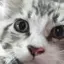 せなのプロフィール画像