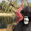 ඊ和代ඊのプロフィール画像