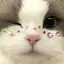 りあのプロフィール画像