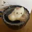 メープルのプロフィール画像
