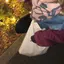 🦄のプロフィール画像