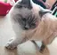 早希のプロフィール画像