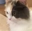 足立万葉のプロフィール画像