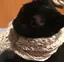 aikoのプロフィール画像