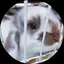 まるのプロフィール画像