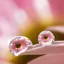 あいちゃんのプロフィール画像