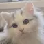 ゆいのプロフィール画像