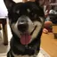 もえのプロフィール画像