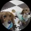 きーちゃんのプロフィール画像
