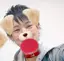りゅうせいのプロフィール画像