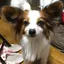 ゆなのプロフィール画像