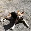 あきちゃんのプロフィール画像