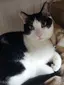 みきのプロフィール画像