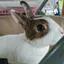 ゆーのプロフィール画像