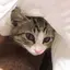 亜由美アンナのプロフィール画像