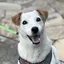 chieのプロフィール画像