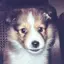 Pのプロフィール画像