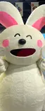 ( * ॑꒳ ॑*)のプロフィール画像