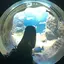 葵のプロフィール画像