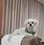 ちー坊のプロフィール画像