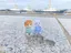 はるかのプロフィール画像