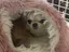 あんぱんのプロフィール画像