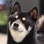 たたたのプロフィール画像