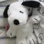 rioのプロフィール画像