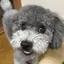 あっちゃんのプロフィール画像