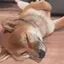 サキのプロフィール画像