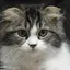 もずくのプロフィール画像