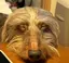 MoGuのプロフィール画像