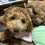 あずきのプロフィール画像