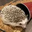 友のプロフィール画像