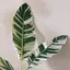 mのプロフィール画像