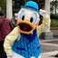 めぐのプロフィール画像