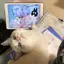 akicaのプロフィール画像