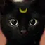 アキのプロフィール画像