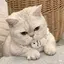 Na_のプロフィール画像