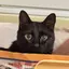 Maのプロフィール画像
