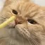 ranranのプロフィール画像